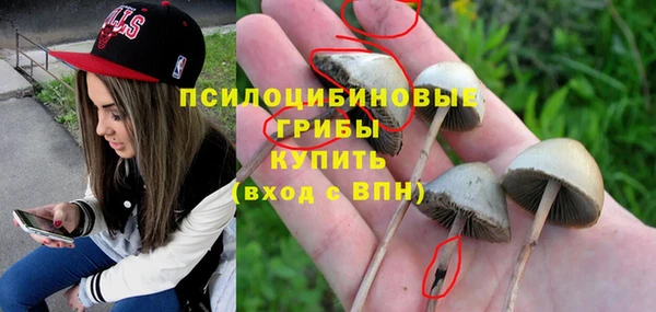 прущие крисы Анива