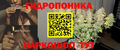 индика Балахна