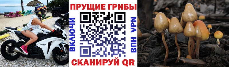 mega ССЫЛКА  Саки  Галлюциногенные грибы ЛСД 