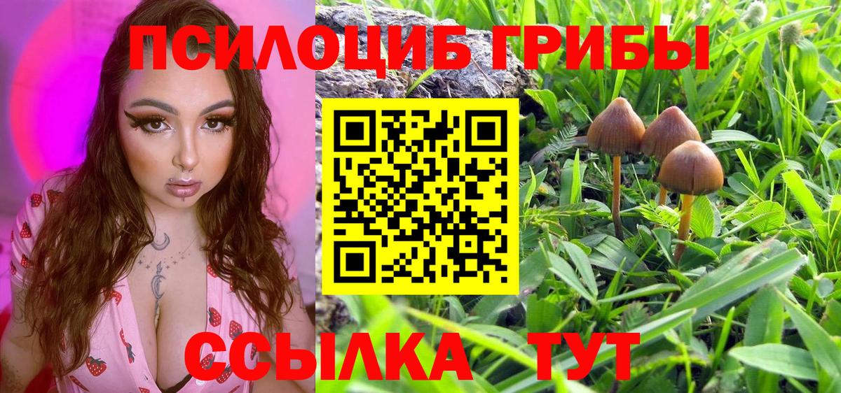 Галлюциногенные грибы MAGIC MUSHROOMS  Саки 