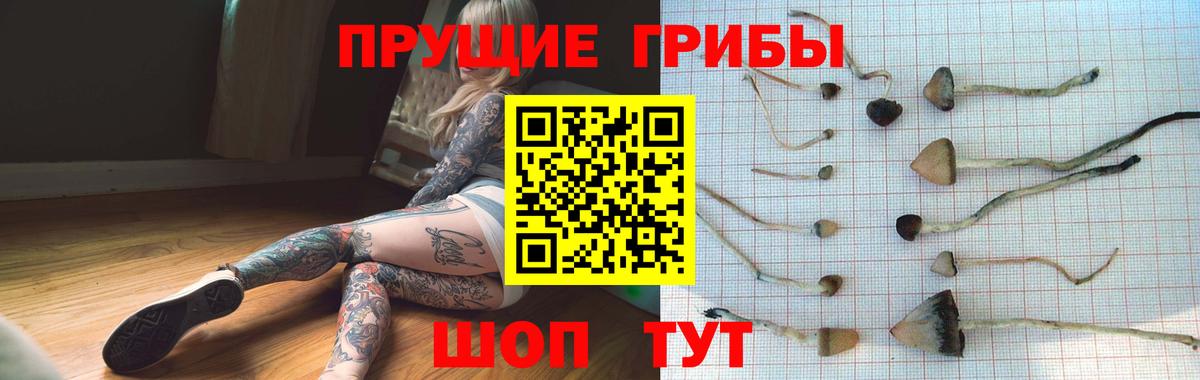 Саки  Галлюциногенные грибы MAGIC MUSHROOMS  Вход с VPN 